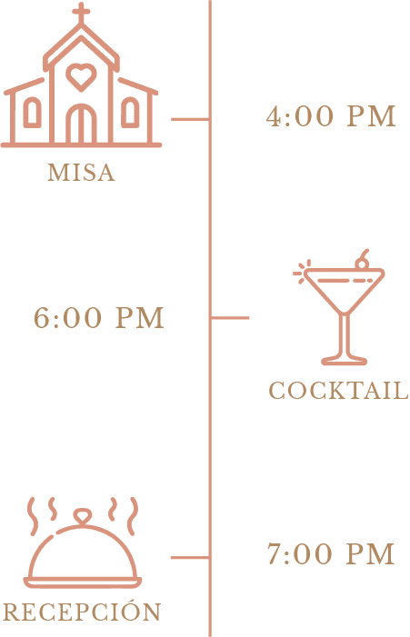 Cronograma Anastacia XV